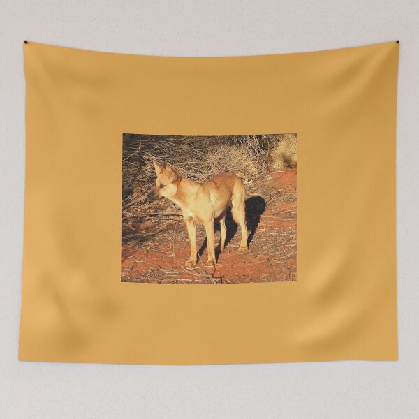Item preview, Ringo the Dingo designed and sold by Rosdenphoto.