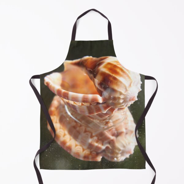 Item preview, Spiral ribbed harp ocean predatory snail shell designed and sold by EstelleRossetti.
