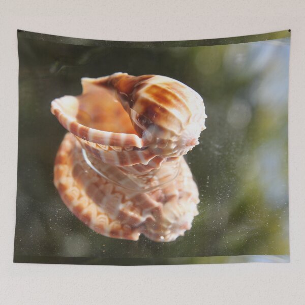 Item preview, Spiral ribbed harp ocean predatory snail shell	 designed and sold by EstelleRossetti.