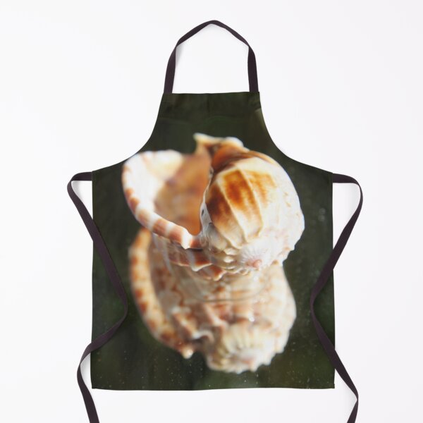 Item preview, Spiral ribbed harp ocean predatory snail shell designed and sold by EstelleRossetti.