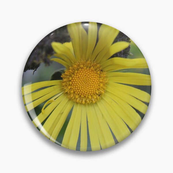 Item preview, Yellow spring flower doronicum orientale	 designed and sold by EstelleRossetti.