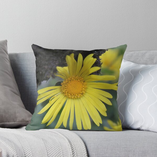 Item preview, Yellow spring flower doronicum orientale	 designed and sold by EstelleRossetti.