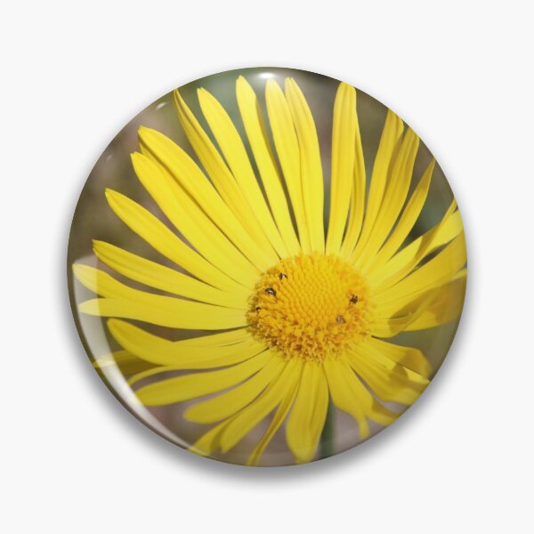 Item preview, Yellow spring flower doronicum orientale	 designed and sold by EstelleRossetti.
