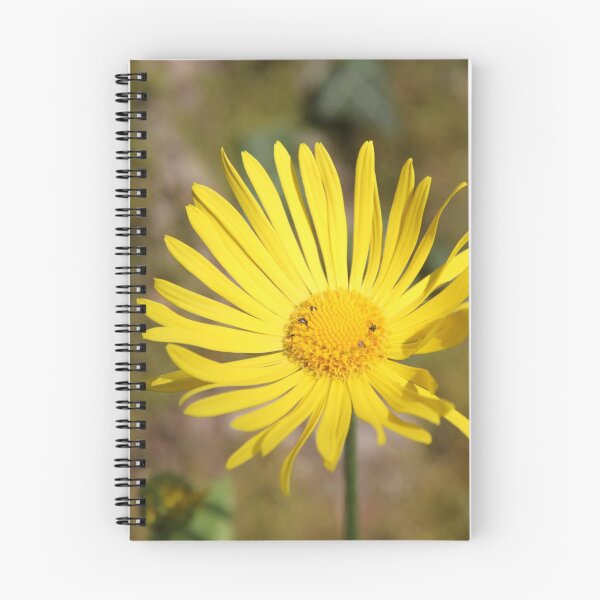 Item preview, Yellow spring flower doronicum orientale	 designed and sold by EstelleRossetti.