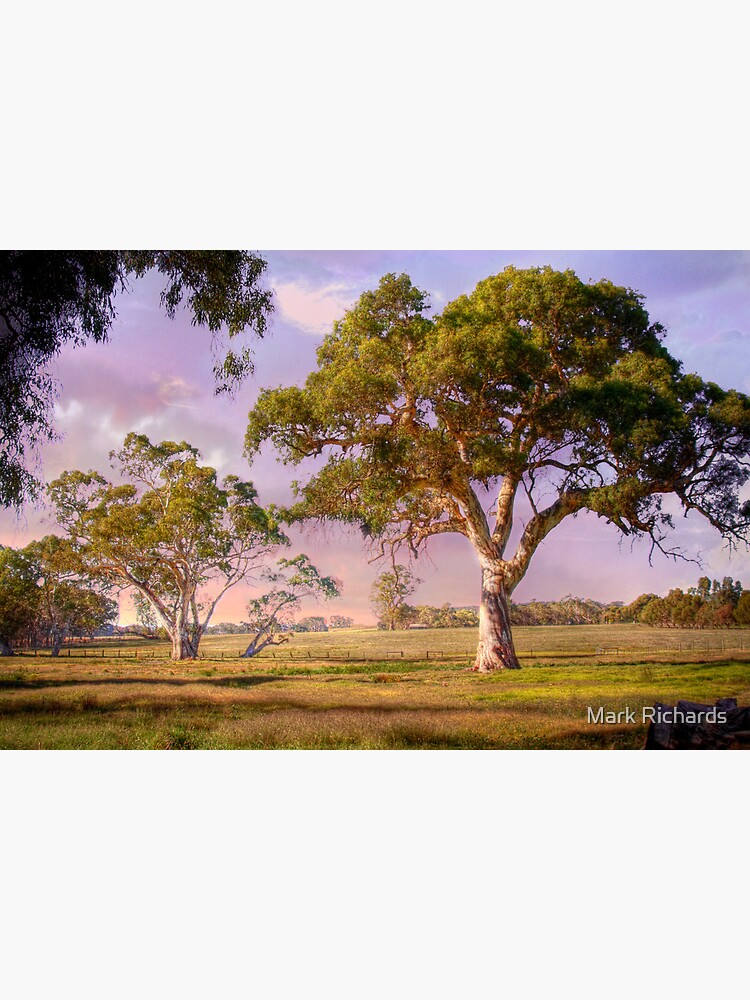 "Mt Barker, Adelaide Hills SA" Poster by markrichards Redbubble