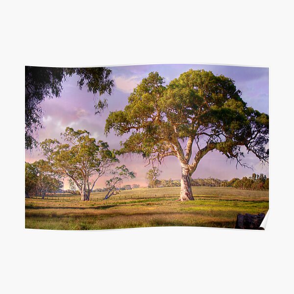 "Mt Barker, Adelaide Hills SA" Poster by markrichards Redbubble