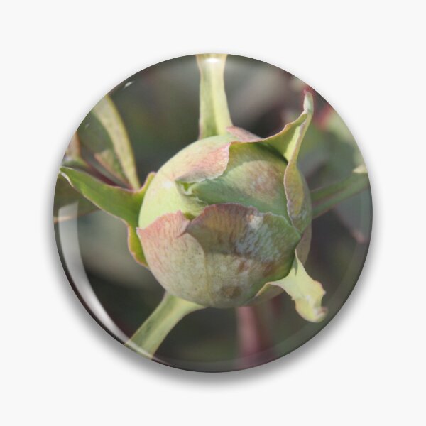 Item preview, Peony bud spring flower blossom	 designed and sold by EstelleRossetti.