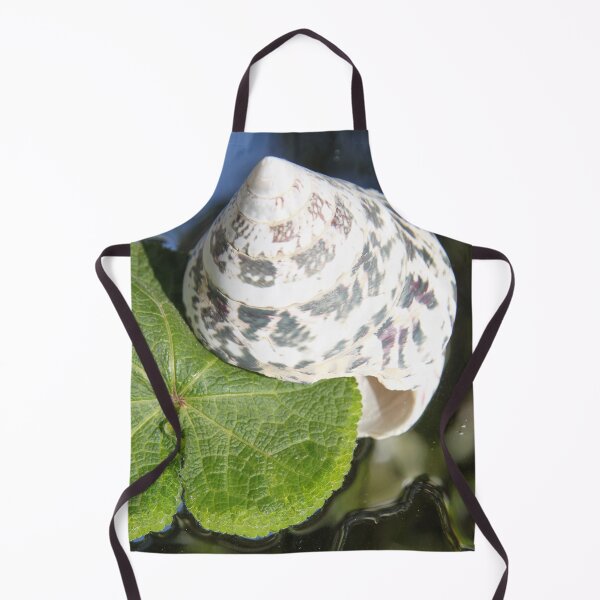 Item preview, Exoskeleton gastropod invertebrate trochus shell designed and sold by EstelleRossetti.