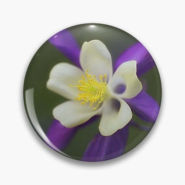 Item preview, The Prettiest Star designed and sold by clint hudson.
