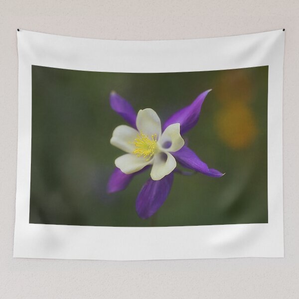 Item preview, The Prettiest Star designed and sold by clint hudson.