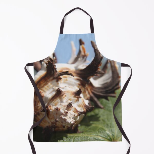 Item preview, Brown and white murex ocean empty spiky shell designed and sold by EstelleRossetti.