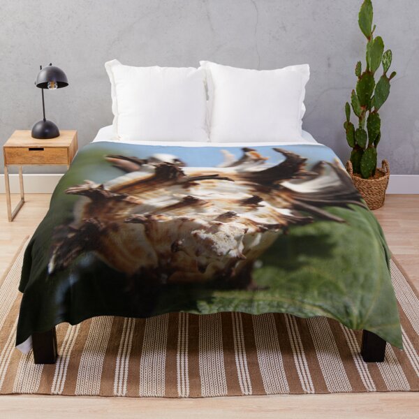 Item preview, Brown and white murex ocean empty spiky shell	 designed and sold by EstelleRossetti.