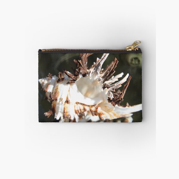 Item preview, Brown and white murex ocean empty spiky shell	 designed and sold by EstelleRossetti.