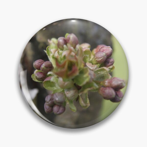 Item preview, Early spring cherry tree pink bloom	 designed and sold by EstelleRossetti.