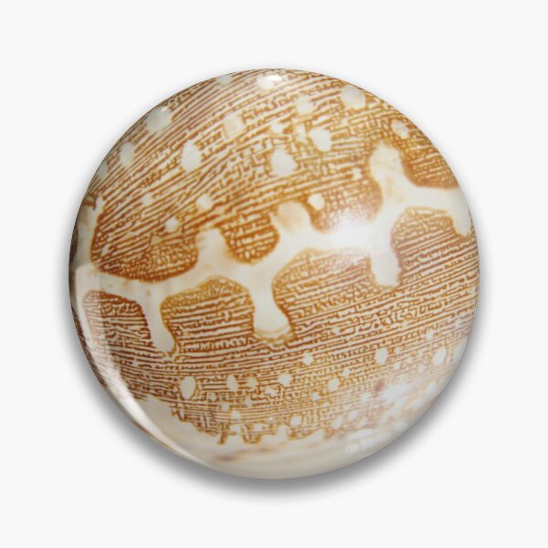 Item preview, Pacific shell designed and sold by EstelleRossetti.