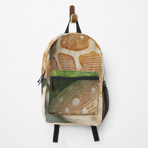 Item preview, Pacific shell designed and sold by EstelleRossetti.