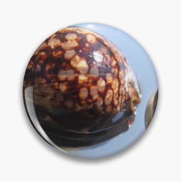 Artikelvorschau, Cypraea tirgirs expensive gastropod mollusk spoted shell	 entworfen und verkauft von EstelleRossetti.