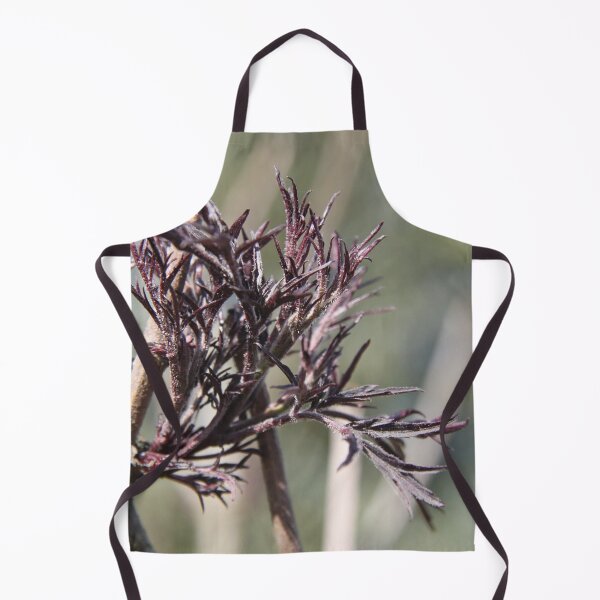 Item preview, Sambucus back beauty purple elderberry	 designed and sold by EstelleRossetti.