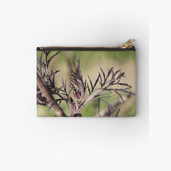 Item preview, Sambucus back beauty purple elderberry	 designed and sold by EstelleRossetti.