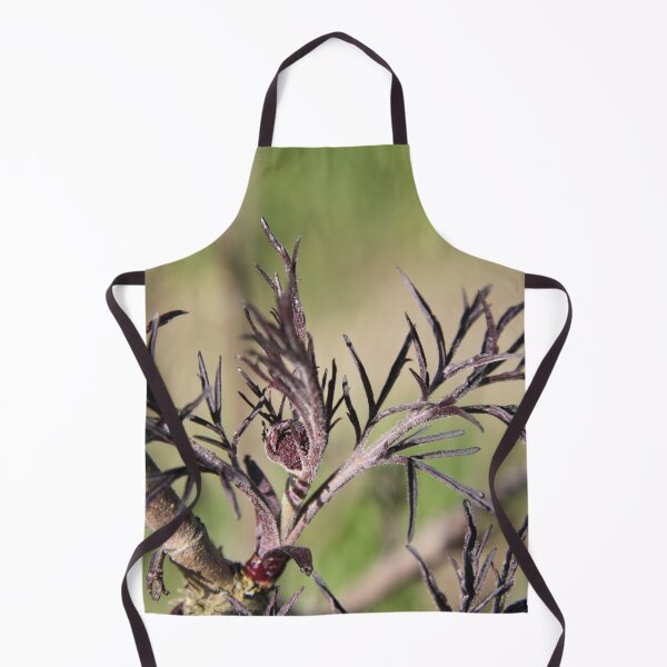 Item preview, Sambucus back beauty purple elderberry	 designed and sold by EstelleRossetti.