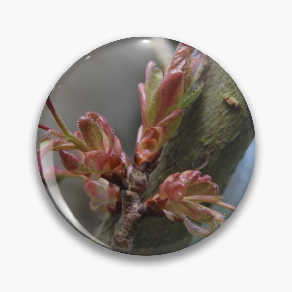 Item preview, Early spring cherry tree pink bloom	 designed and sold by EstelleRossetti.