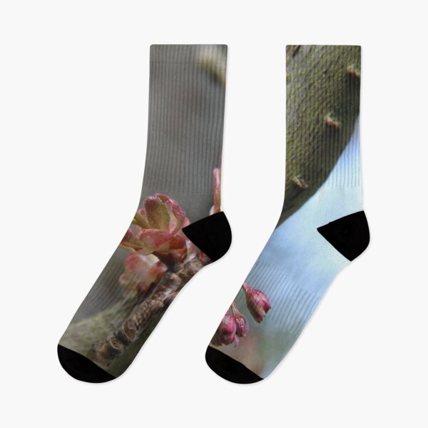 Item preview, Early spring cherry tree pink bloom	 designed and sold by EstelleRossetti.