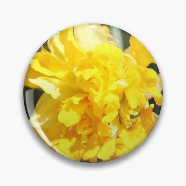 Artikelvorschau, Narcissus daffodil easter spring yellow flower	 entworfen und verkauft von EstelleRossetti.