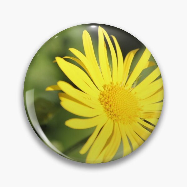 Item preview, Yellow spring flower doronicum orientale	 designed and sold by EstelleRossetti.