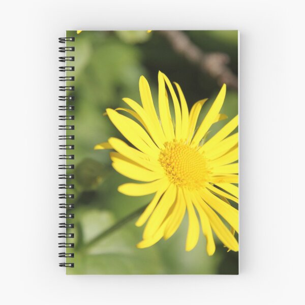 Item preview, Yellow spring flower doronicum orientale	 designed and sold by EstelleRossetti.