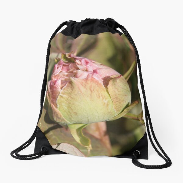 Aperçu de l'œuvre Pivoine bourgeon printemps fleur fleur créée et vendue par EstelleRossetti.