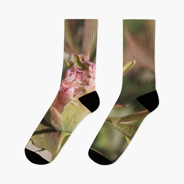 Item preview, Pivoine bourgeon printemps fleur fleur designed and sold by EstelleRossetti.