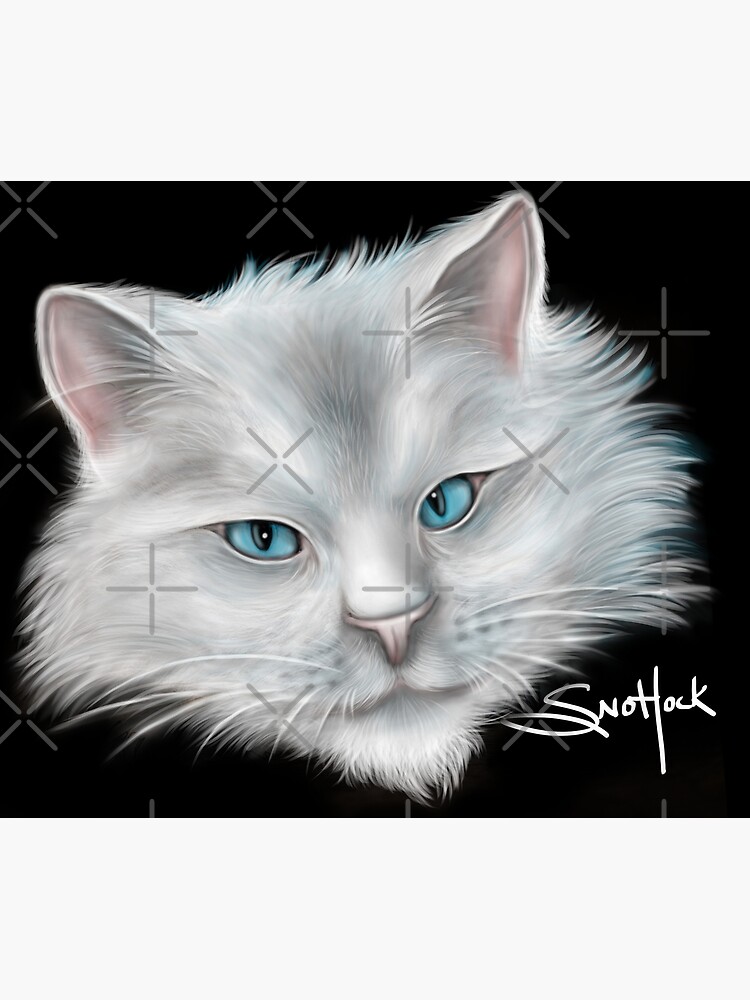 White Kitty Cat with Blue Eyes by snohock