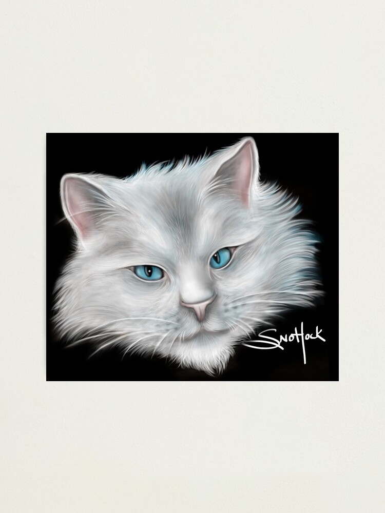 Alternate view of White Kitty Cat with Blue Eyes Photographic Print