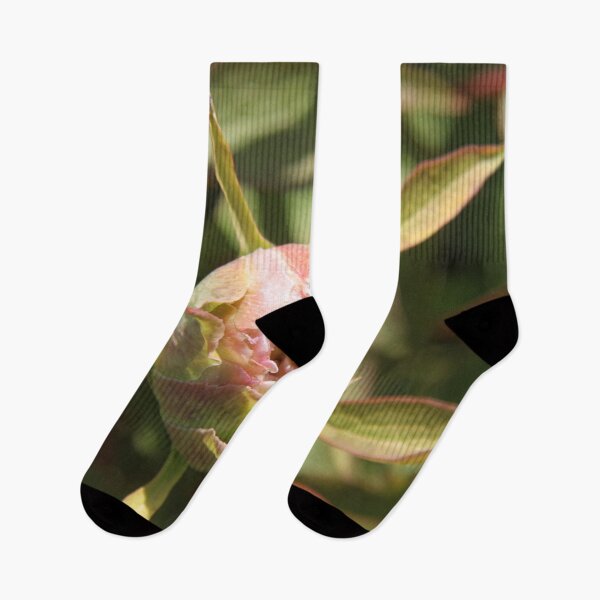 Item preview, Pivoine bourgeon printemps fleur fleur designed and sold by EstelleRossetti.