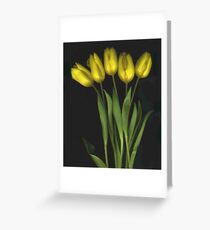 (Very) Yellow Tulips Greeting Card