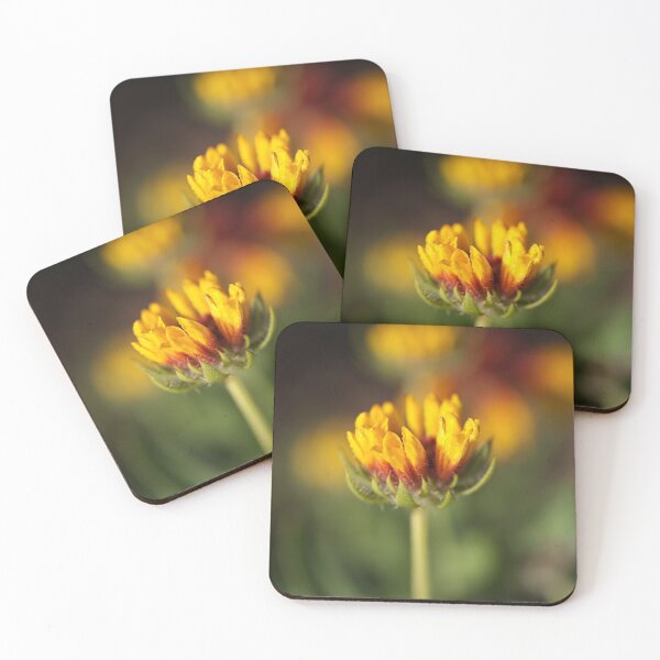 Item preview, Gaillardia Bud designed and sold by Joy Watson - Natural Light Photography .