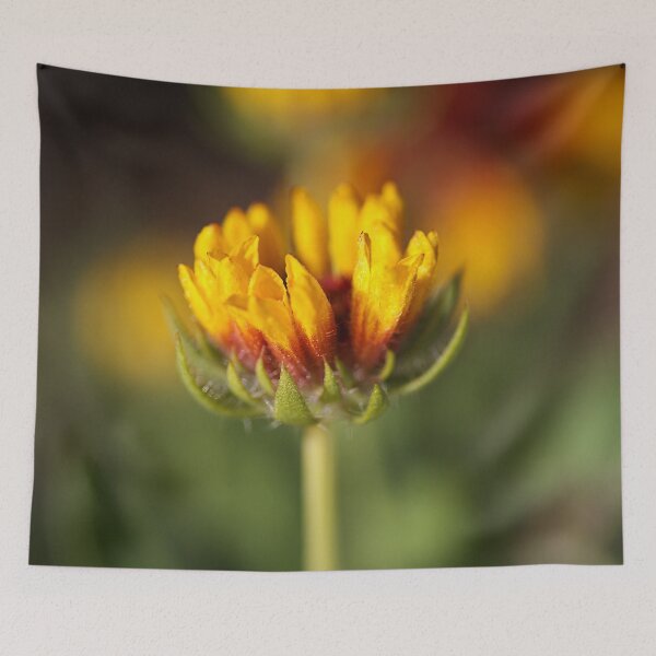 Item preview, Gaillardia Bud designed and sold by Joy Watson - Natural Light Photography .