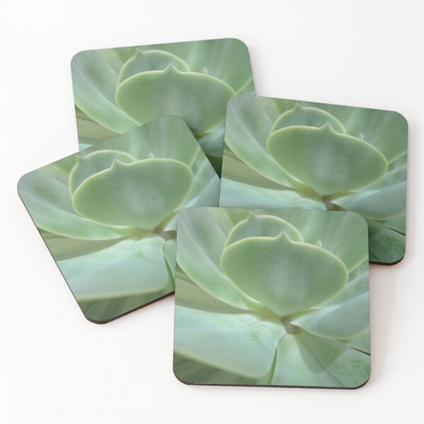Item preview, Succulent designed and sold by thatcuriousone.