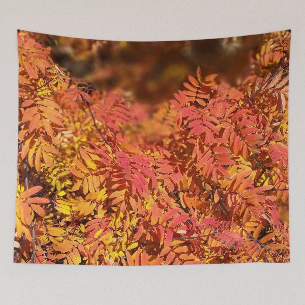 Item preview, Autumn designed and sold by FotoJarmo.