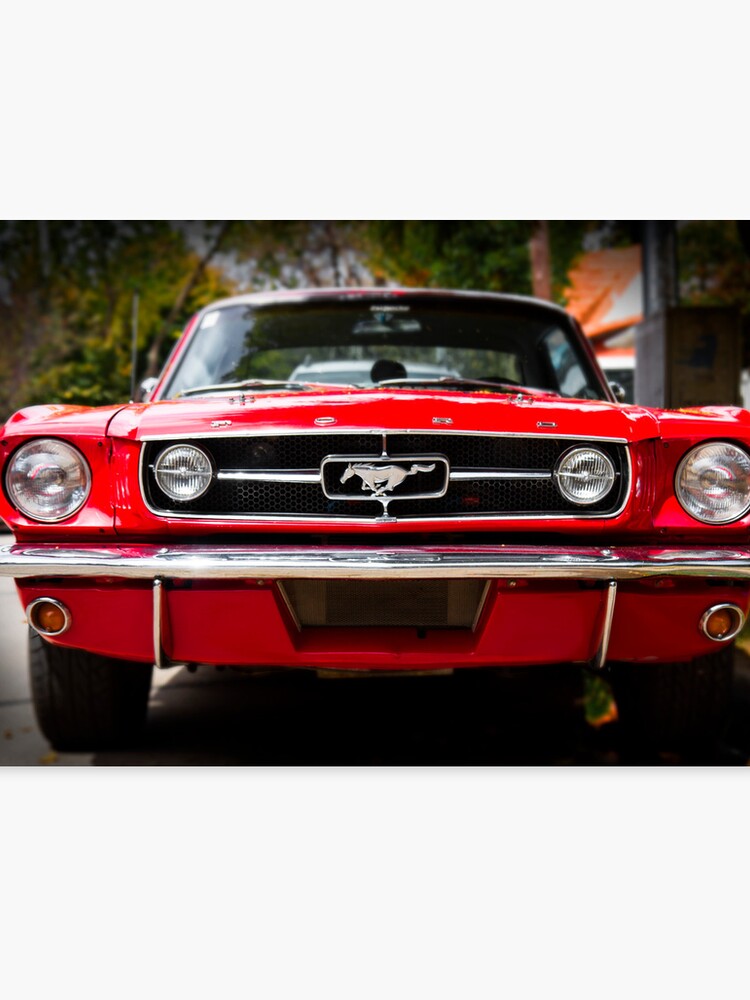 65 Ford Mustang >> Ford Mustang 65 The Red Pony Canvas Print 65 Ford Mustang >> Ford Mustang 65 The Red Pony Canvas Print