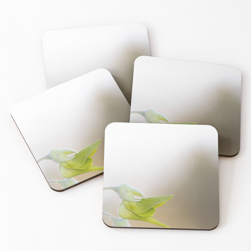 Item preview, Coasters (Set of 4) designed and sold by InNature.
