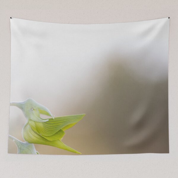 Item preview, Bird Flower designed and sold by InNature.