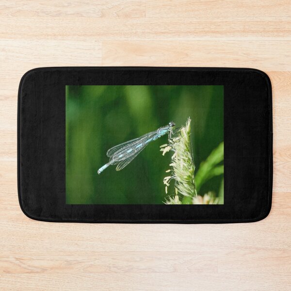 Item preview, Narrow-winged damselfly resting designed and sold by Jouko Lehto Photography.