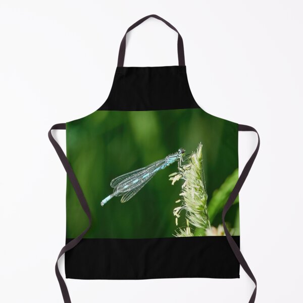 Item preview, Narrow-winged damselfly resting designed and sold by Jouko Lehto Photography.