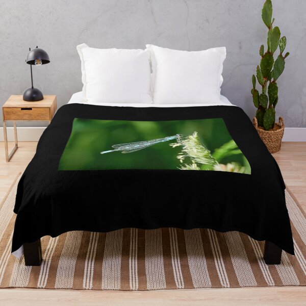 Item preview, Narrow-winged damselfly resting designed and sold by Jouko Lehto Photography.