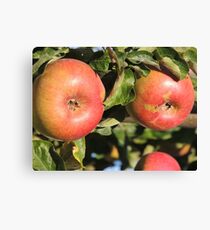 Red Red Apples Canvas Print