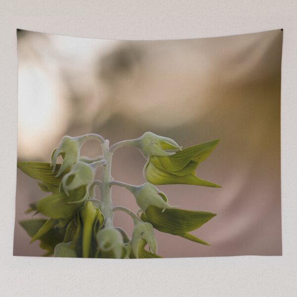 Item preview, BirdFlower Port Hedland designed and sold by InNature.