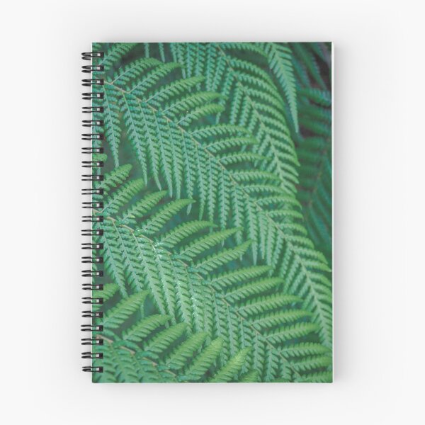Item preview, Tree Fern Symmetry designed and sold by Steven Jodoin.