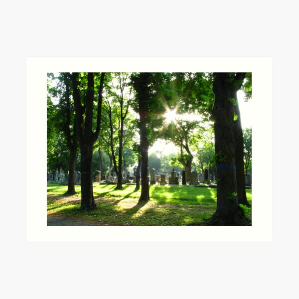 Zentralfriedhof Art Print