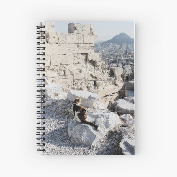 Stray cat checking out the archaeology of ancient Greece at the Acropolis Spiral Notebook